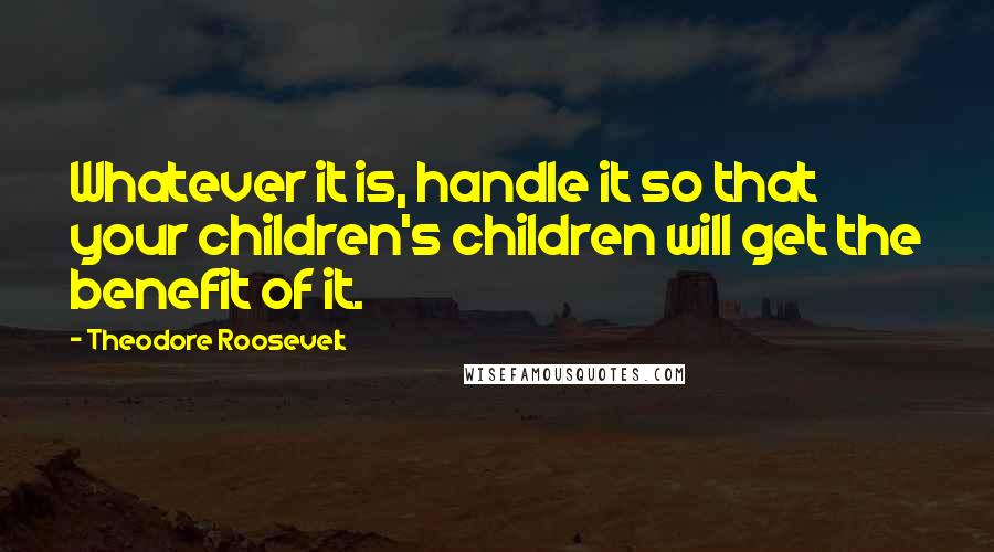 Theodore Roosevelt Quotes: Whatever it is, handle it so that your children's children will get the benefit of it.