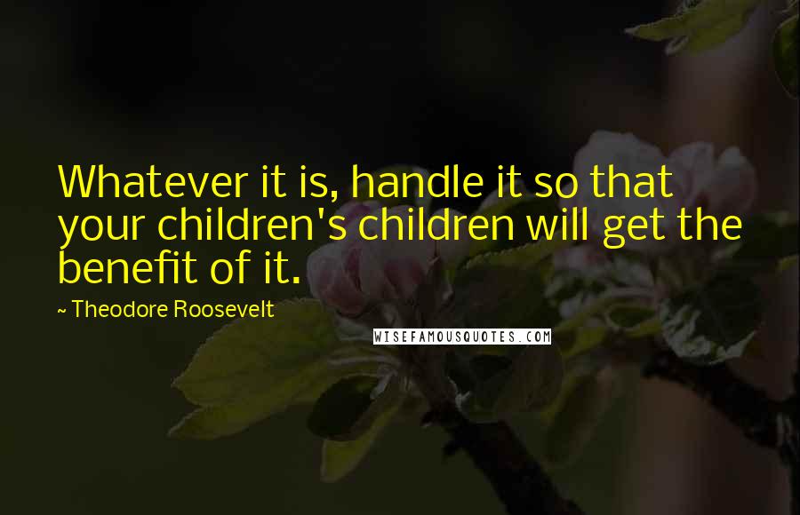 Theodore Roosevelt Quotes: Whatever it is, handle it so that your children's children will get the benefit of it.