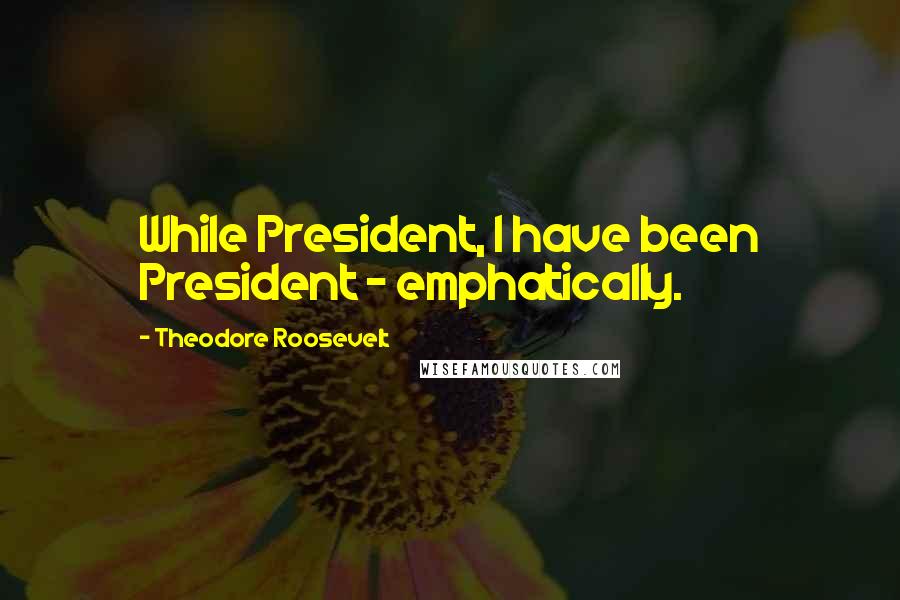 Theodore Roosevelt Quotes: While President, I have been President - emphatically.