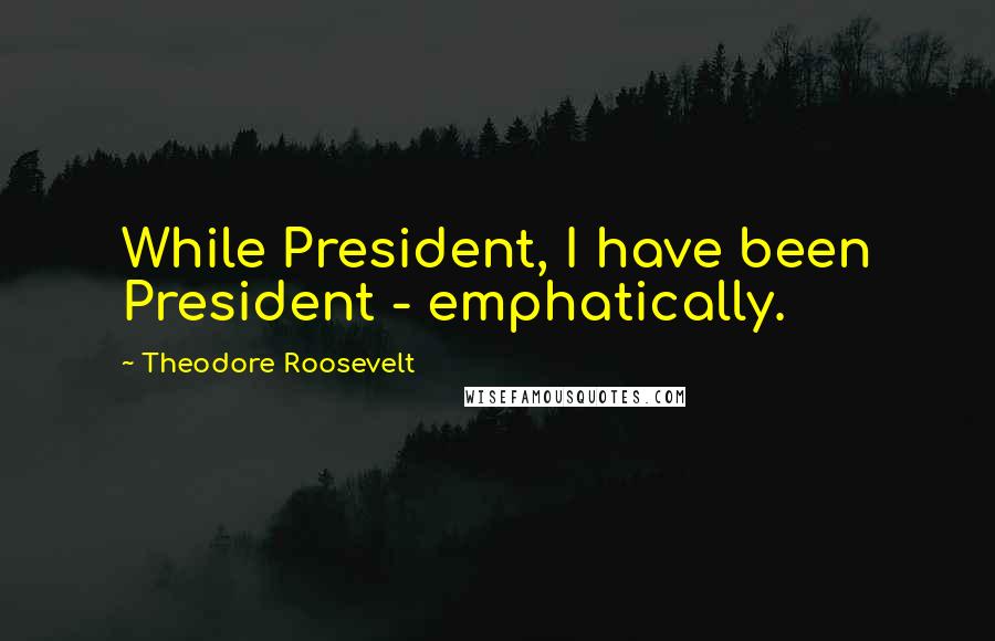 Theodore Roosevelt Quotes: While President, I have been President - emphatically.