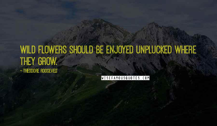 Theodore Roosevelt Quotes: Wild flowers should be enjoyed unplucked where they grow.
