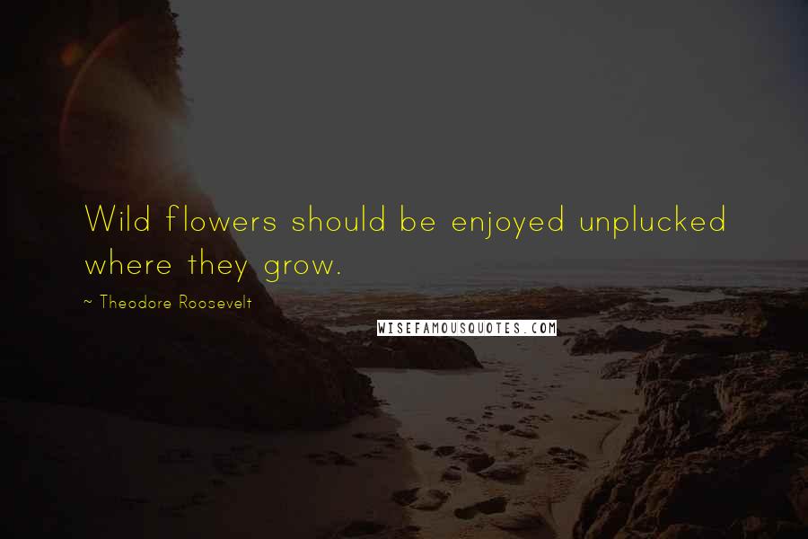 Theodore Roosevelt Quotes: Wild flowers should be enjoyed unplucked where they grow.