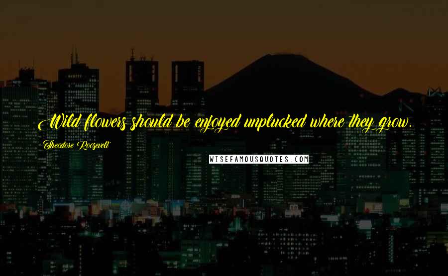 Theodore Roosevelt Quotes: Wild flowers should be enjoyed unplucked where they grow.