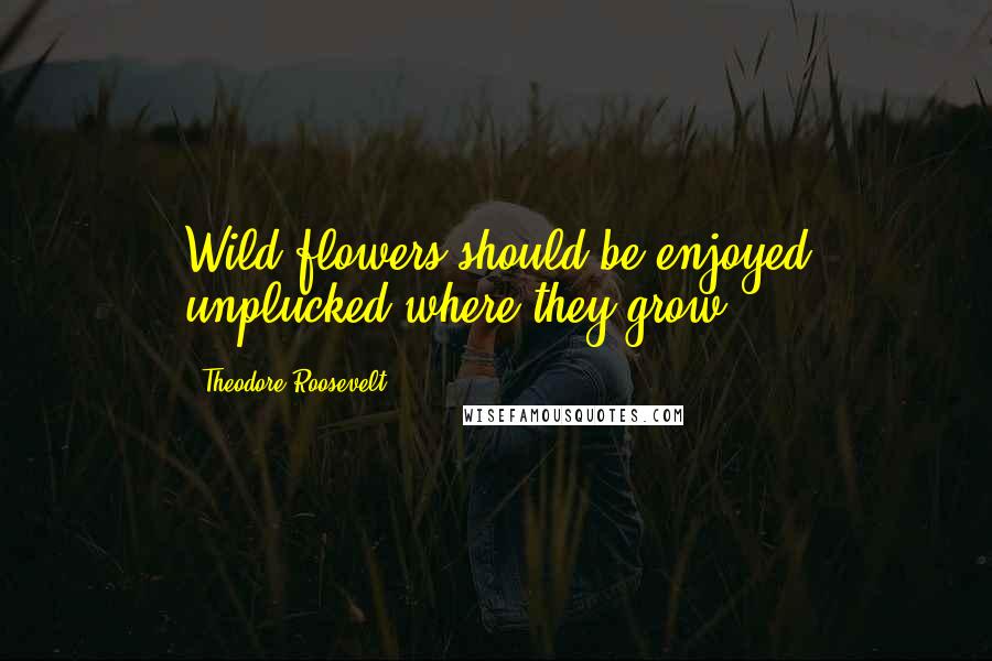 Theodore Roosevelt Quotes: Wild flowers should be enjoyed unplucked where they grow.