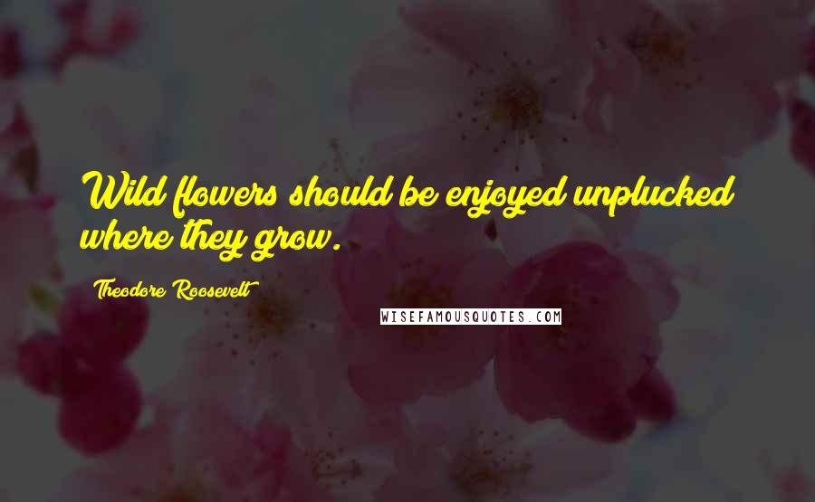 Theodore Roosevelt Quotes: Wild flowers should be enjoyed unplucked where they grow.