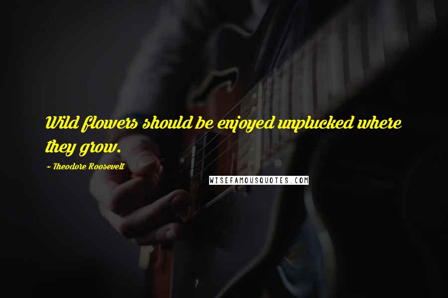 Theodore Roosevelt Quotes: Wild flowers should be enjoyed unplucked where they grow.