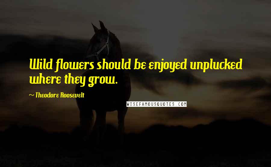 Theodore Roosevelt Quotes: Wild flowers should be enjoyed unplucked where they grow.
