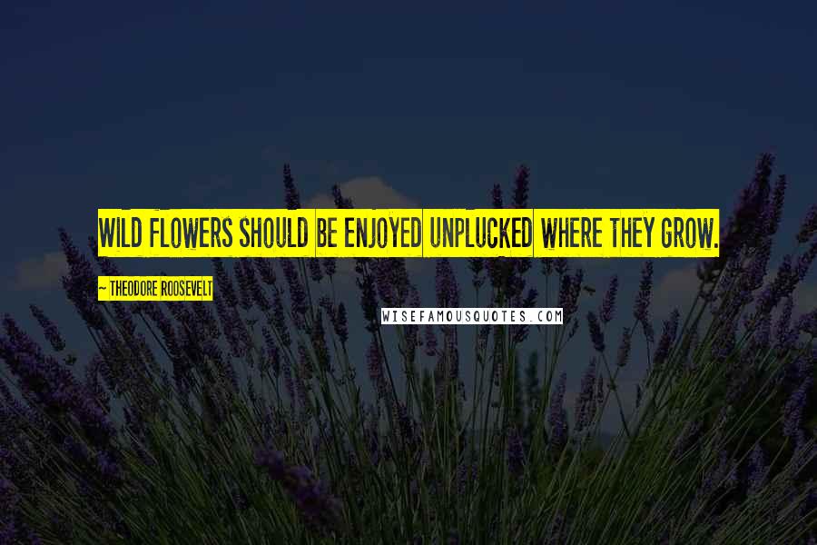 Theodore Roosevelt Quotes: Wild flowers should be enjoyed unplucked where they grow.