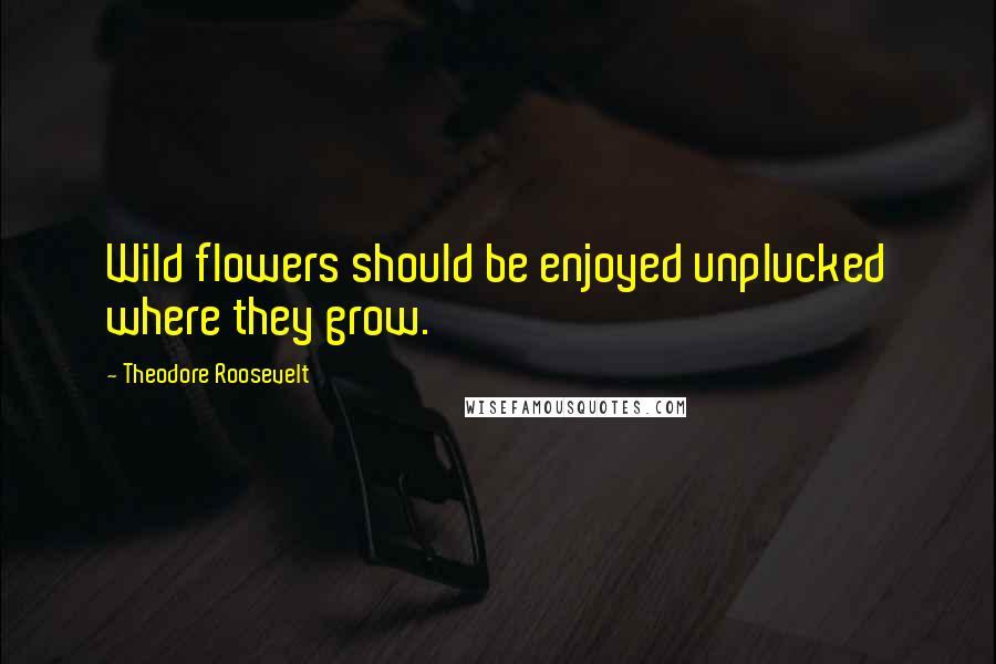Theodore Roosevelt Quotes: Wild flowers should be enjoyed unplucked where they grow.