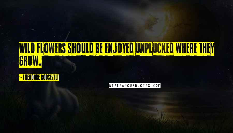Theodore Roosevelt Quotes: Wild flowers should be enjoyed unplucked where they grow.