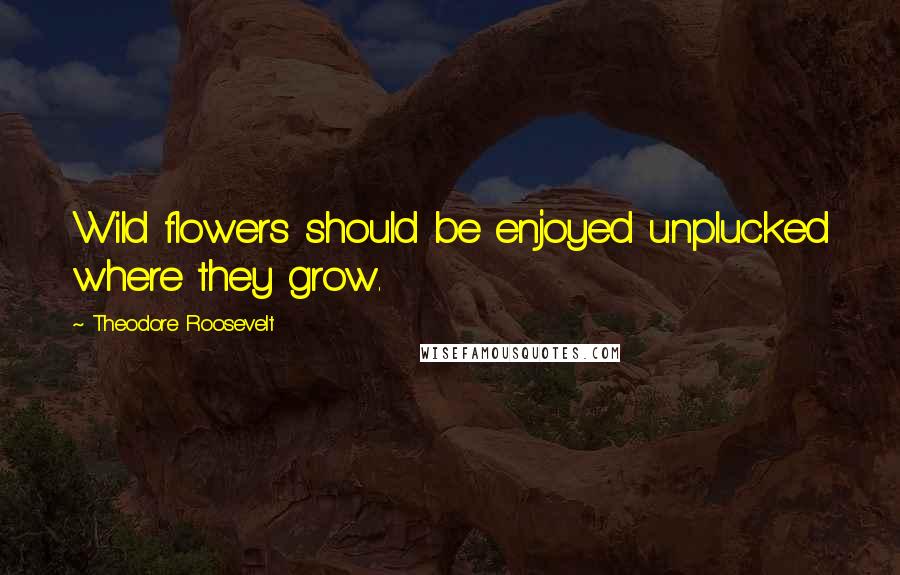 Theodore Roosevelt Quotes: Wild flowers should be enjoyed unplucked where they grow.