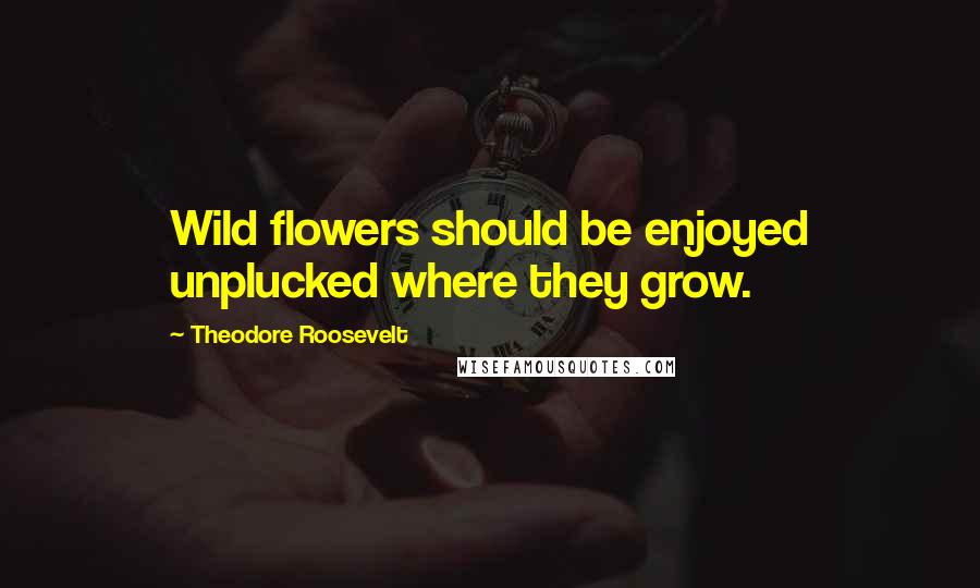Theodore Roosevelt Quotes: Wild flowers should be enjoyed unplucked where they grow.