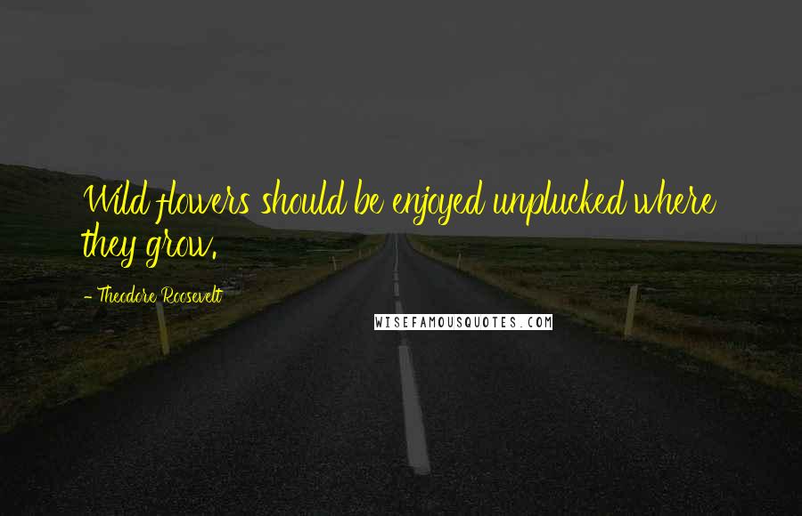 Theodore Roosevelt Quotes: Wild flowers should be enjoyed unplucked where they grow.