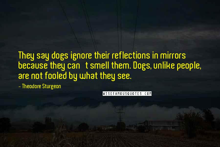 Theodore Sturgeon Quotes: They say dogs ignore their reflections in mirrors because they can't smell them. Dogs, unlike people, are not fooled by what they see.