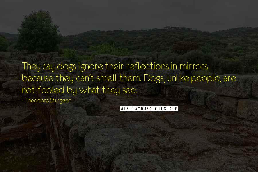 Theodore Sturgeon Quotes: They say dogs ignore their reflections in mirrors because they can't smell them. Dogs, unlike people, are not fooled by what they see.