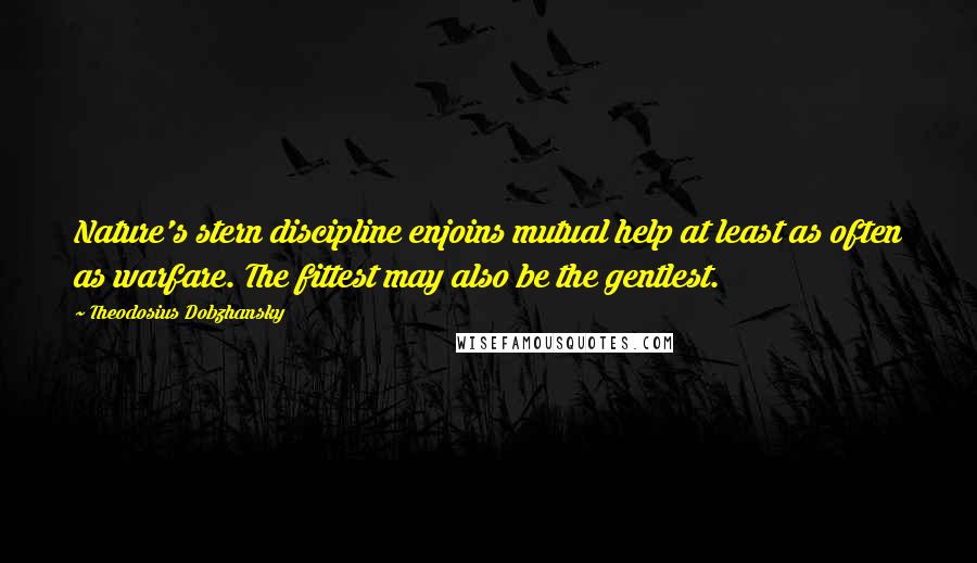 Theodosius Dobzhansky Quotes: Nature's stern discipline enjoins mutual help at least as often as warfare. The fittest may also be the gentlest.