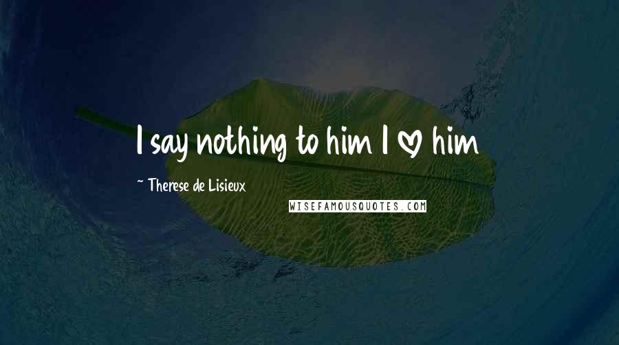 Therese De Lisieux Quotes: I say nothing to him I love him