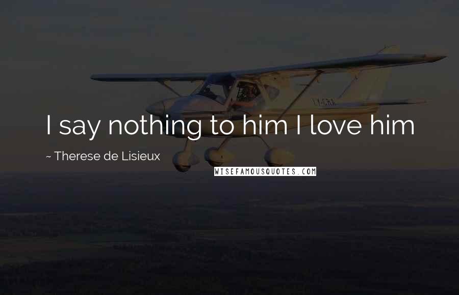 Therese De Lisieux Quotes: I say nothing to him I love him