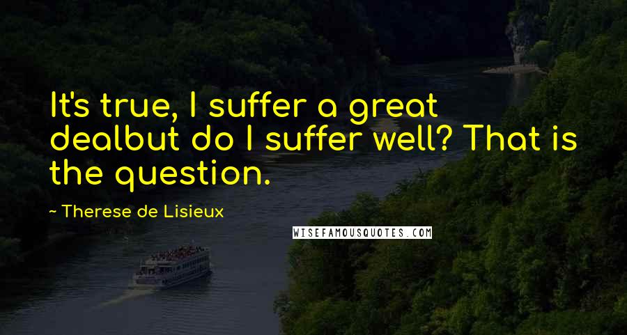 Therese De Lisieux Quotes: It's true, I suffer a great dealbut do I suffer well? That is the question.