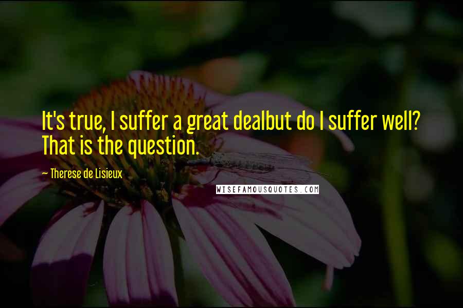 Therese De Lisieux Quotes: It's true, I suffer a great dealbut do I suffer well? That is the question.