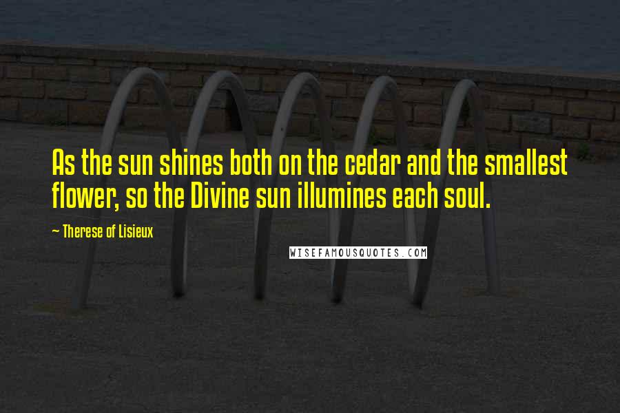 Therese Of Lisieux Quotes: As the sun shines both on the cedar and the smallest flower, so the Divine sun illumines each soul.