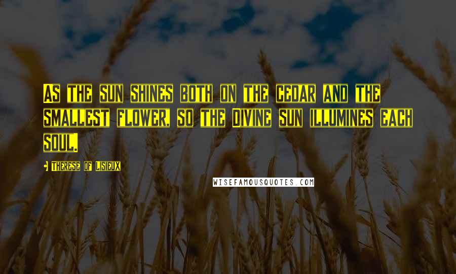 Therese Of Lisieux Quotes: As the sun shines both on the cedar and the smallest flower, so the Divine sun illumines each soul.