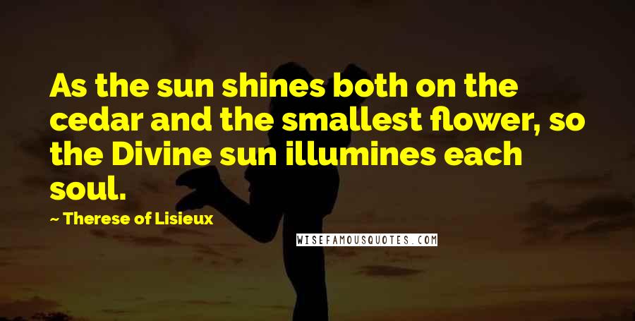 Therese Of Lisieux Quotes: As the sun shines both on the cedar and the smallest flower, so the Divine sun illumines each soul.