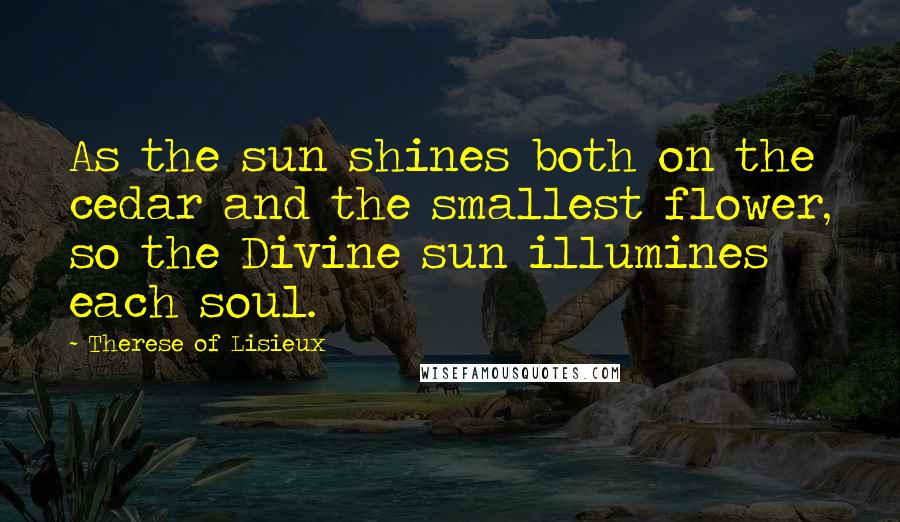 Therese Of Lisieux Quotes: As the sun shines both on the cedar and the smallest flower, so the Divine sun illumines each soul.