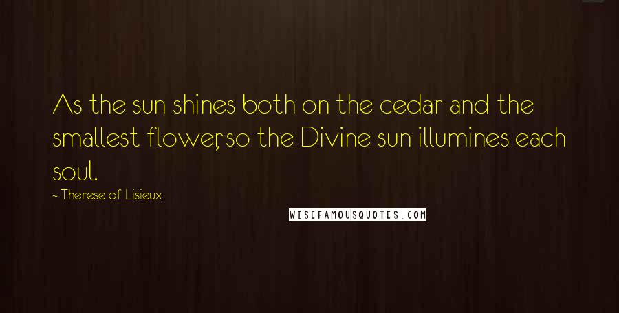 Therese Of Lisieux Quotes: As the sun shines both on the cedar and the smallest flower, so the Divine sun illumines each soul.