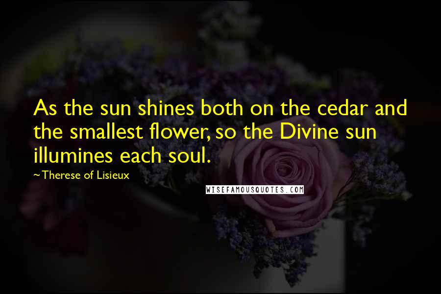 Therese Of Lisieux Quotes: As the sun shines both on the cedar and the smallest flower, so the Divine sun illumines each soul.