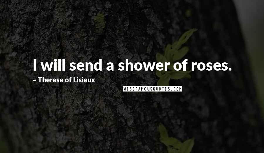 Therese Of Lisieux Quotes: I will send a shower of roses.