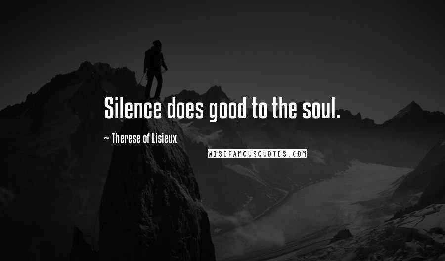 Therese Of Lisieux Quotes: Silence does good to the soul.