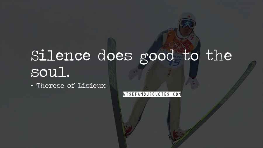 Therese Of Lisieux Quotes: Silence does good to the soul.