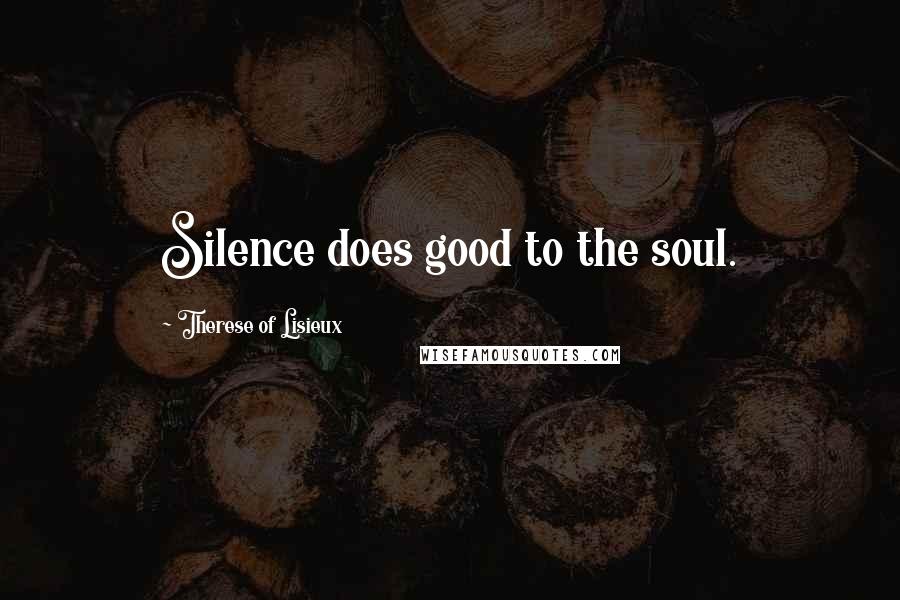 Therese Of Lisieux Quotes: Silence does good to the soul.