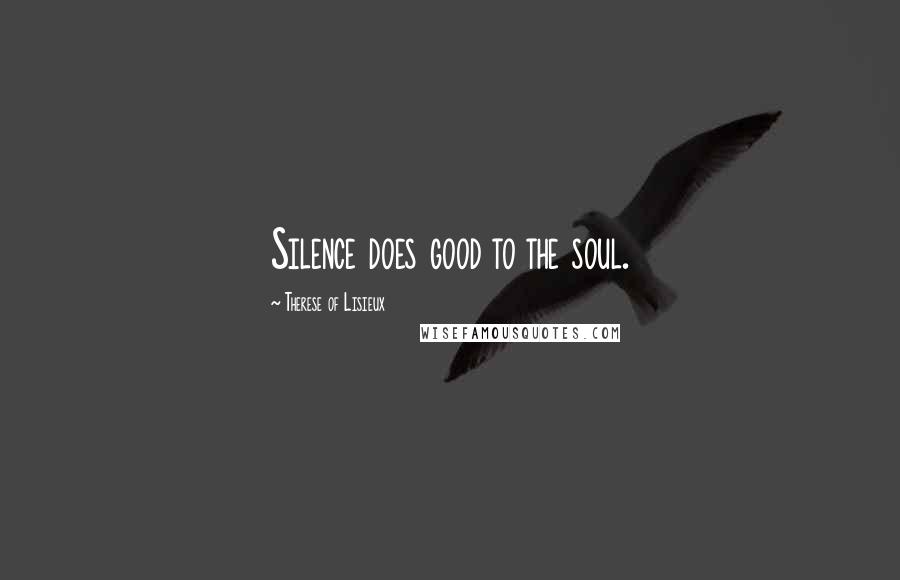 Therese Of Lisieux Quotes: Silence does good to the soul.