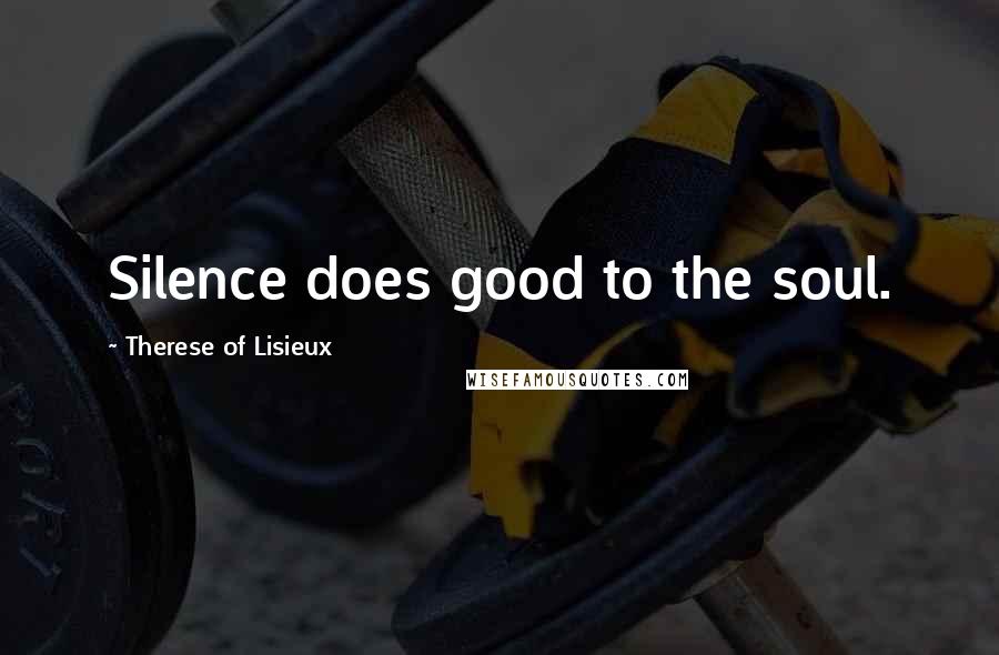 Therese Of Lisieux Quotes: Silence does good to the soul.