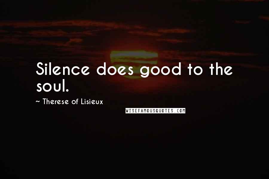 Therese Of Lisieux Quotes: Silence does good to the soul.