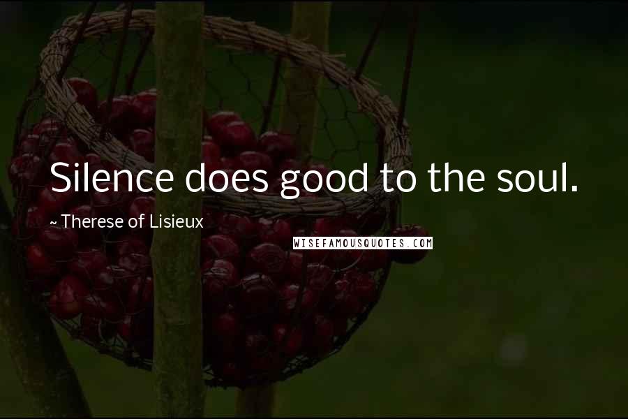 Therese Of Lisieux Quotes: Silence does good to the soul.
