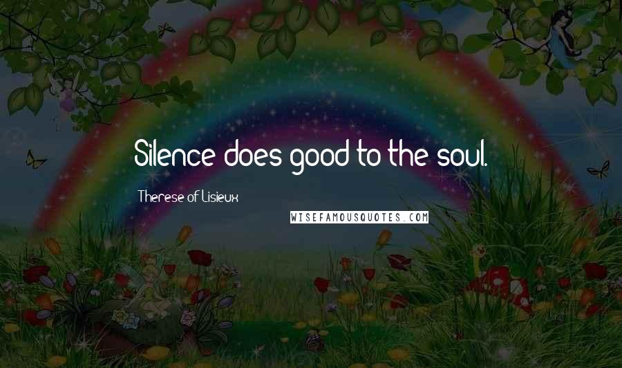 Therese Of Lisieux Quotes: Silence does good to the soul.