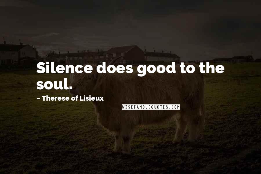 Therese Of Lisieux Quotes: Silence does good to the soul.