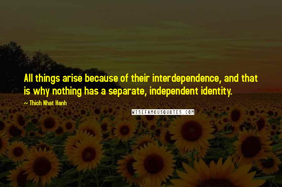 Thich Nhat Hanh Quotes: All things arise because of their interdependence, and that is why nothing has a separate, independent identity.