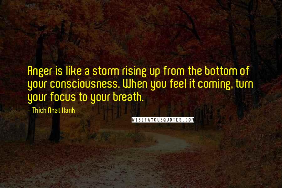 Thich Nhat Hanh Quotes: Anger is like a storm rising up from the bottom of your consciousness. When you feel it coming, turn your focus to your breath.