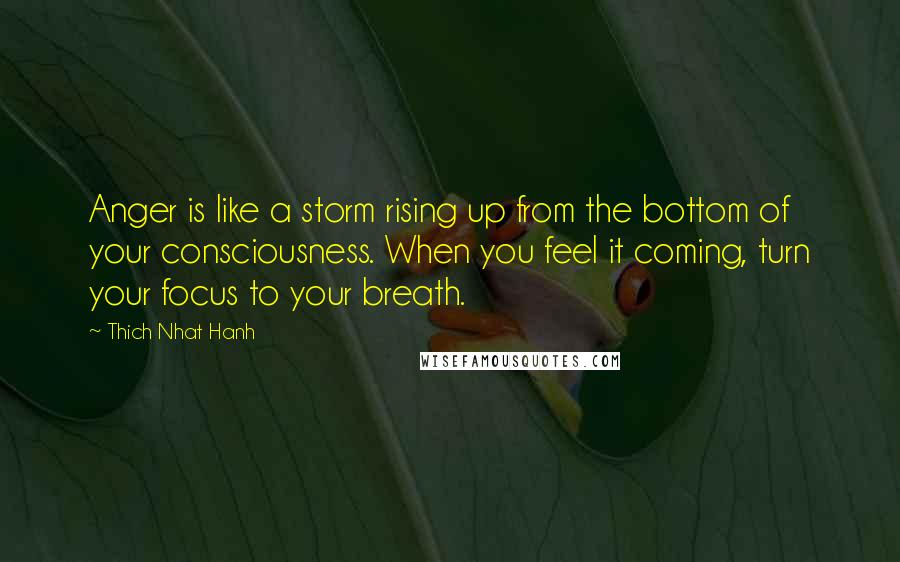 Thich Nhat Hanh Quotes: Anger is like a storm rising up from the bottom of your consciousness. When you feel it coming, turn your focus to your breath.