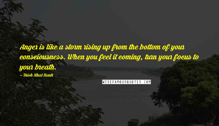 Thich Nhat Hanh Quotes: Anger is like a storm rising up from the bottom of your consciousness. When you feel it coming, turn your focus to your breath.