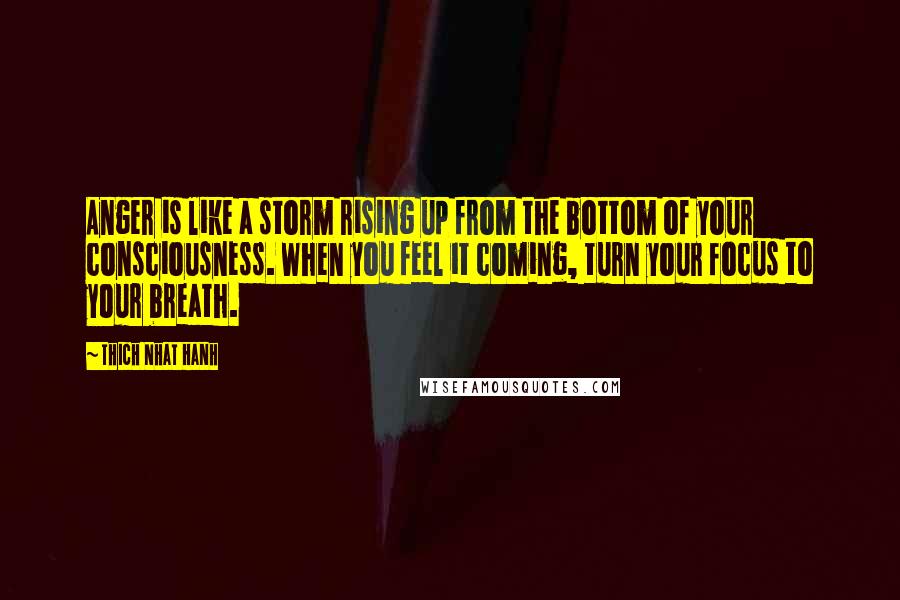 Thich Nhat Hanh Quotes: Anger is like a storm rising up from the bottom of your consciousness. When you feel it coming, turn your focus to your breath.