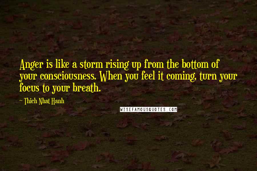 Thich Nhat Hanh Quotes: Anger is like a storm rising up from the bottom of your consciousness. When you feel it coming, turn your focus to your breath.