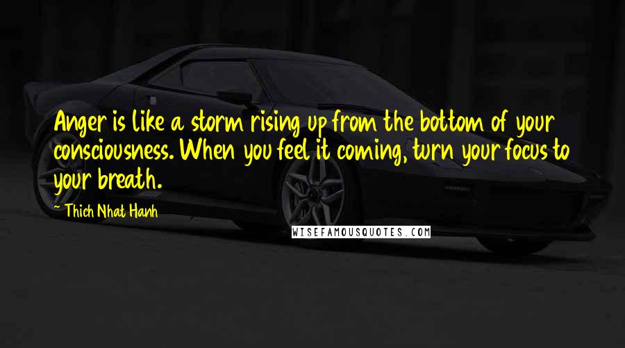 Thich Nhat Hanh Quotes: Anger is like a storm rising up from the bottom of your consciousness. When you feel it coming, turn your focus to your breath.