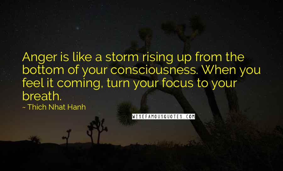 Thich Nhat Hanh Quotes: Anger is like a storm rising up from the bottom of your consciousness. When you feel it coming, turn your focus to your breath.