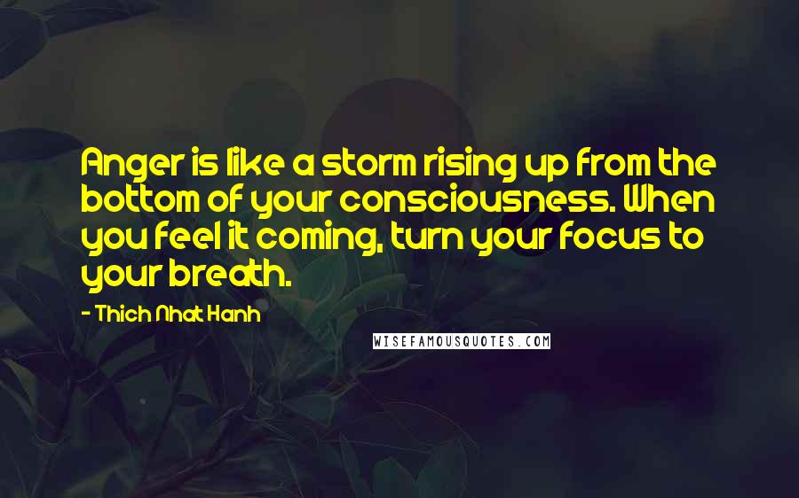 Thich Nhat Hanh Quotes: Anger is like a storm rising up from the bottom of your consciousness. When you feel it coming, turn your focus to your breath.