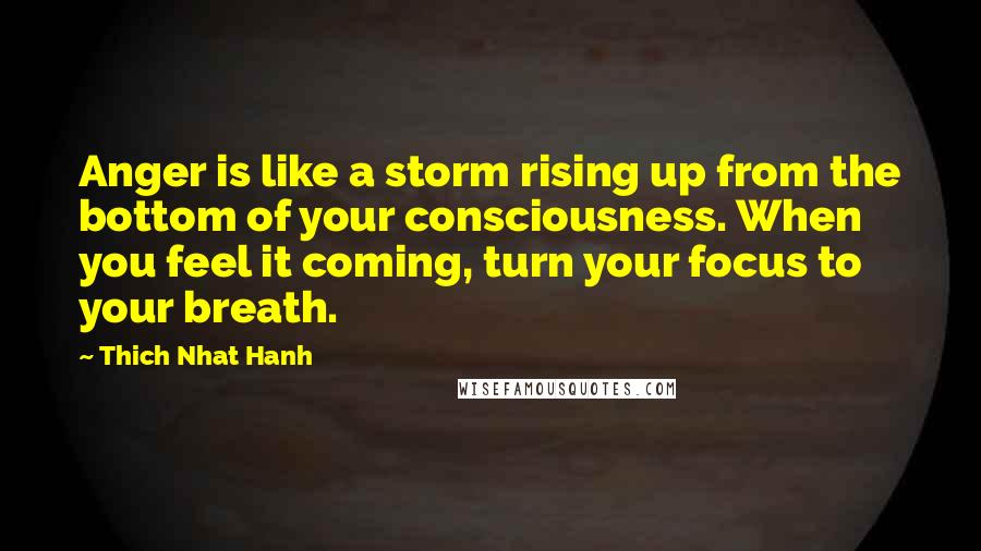 Thich Nhat Hanh Quotes: Anger is like a storm rising up from the bottom of your consciousness. When you feel it coming, turn your focus to your breath.